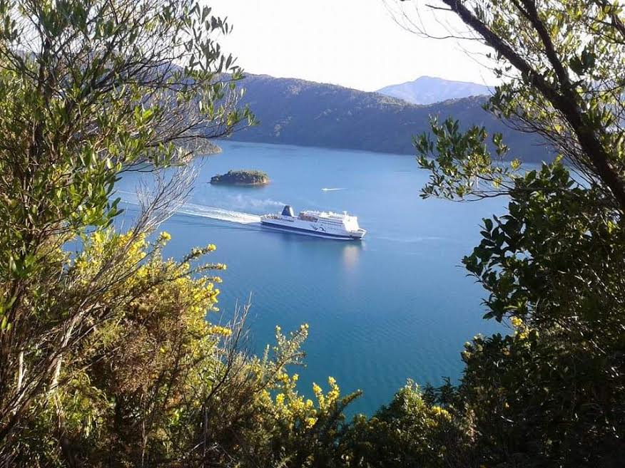 Bush Walks around Picton - Garden View Cottages